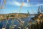 Protected Natural area: Albufera d'es Grau