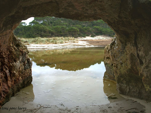 Playas Menorca: cala trebaluger