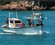 Los productos frescos del mar en Menorca de mano de sus pescadores