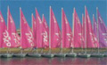 Vela Fornells - sailing and windsurfing school in Fornells - Menorca - Balearic Islands